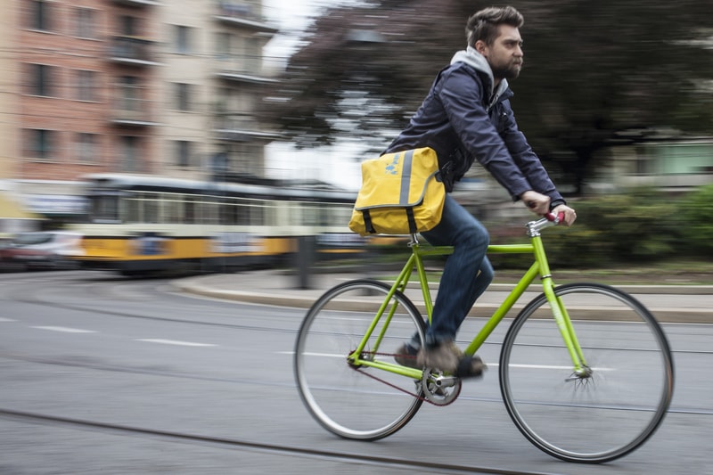 ZENITH - immagine 17